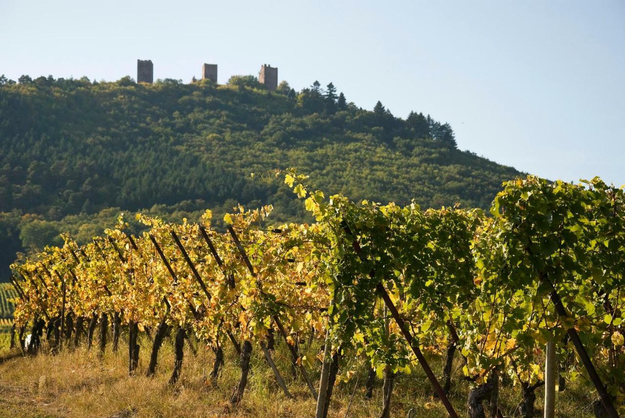 Gite Edelweiss A Eguisheim Luaran gambar
