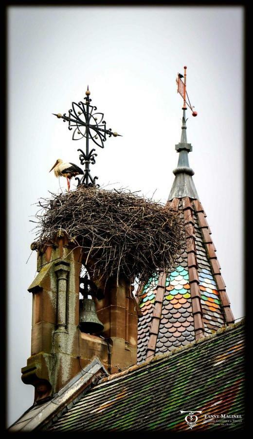 Gite Edelweiss A Eguisheim Luaran gambar