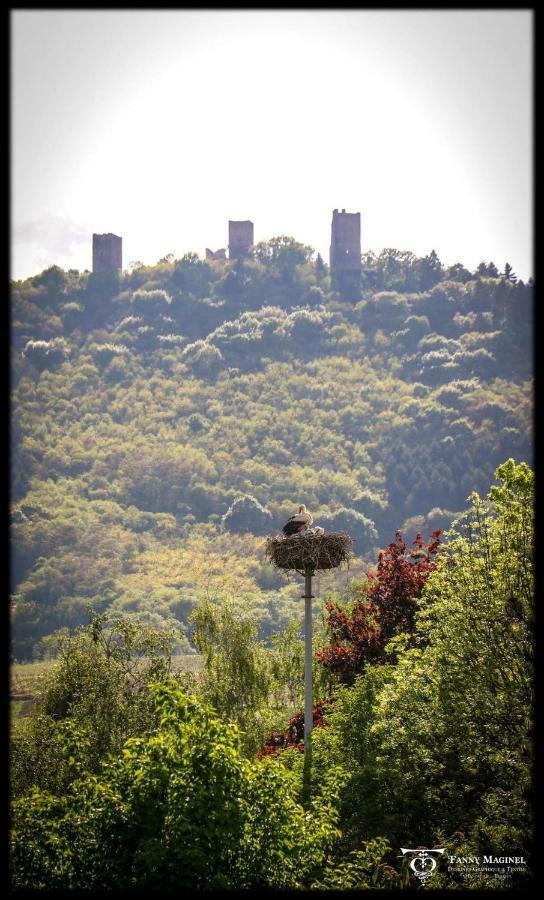 Gite Edelweiss A Eguisheim Luaran gambar